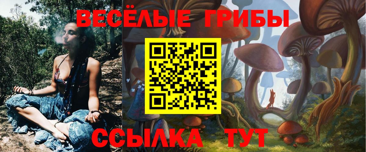 Псилоцибиновые грибы MAGIC MUSHROOMS Зеленогорск