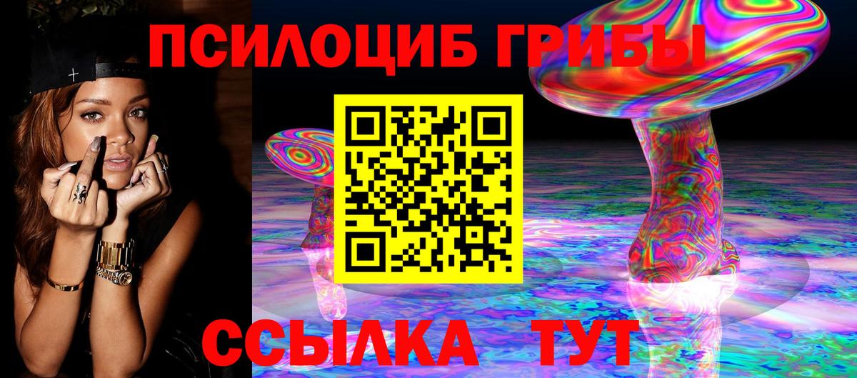 Галлюциногенные грибы Cubensis  Вход с VPN  Зеленогорск  Галлюциногенные грибы Psilocybine cubensis 