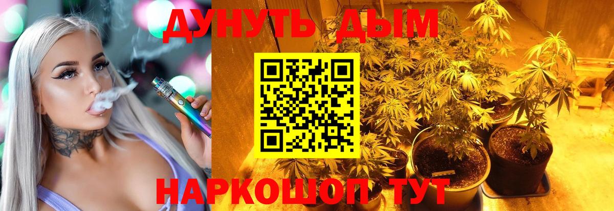 Бошки Шишки гибрид  Марихуана сатива  Вход с VPN  Зеленогорск  Конопля Ganja 